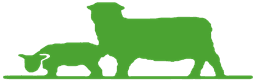 Green Sheep